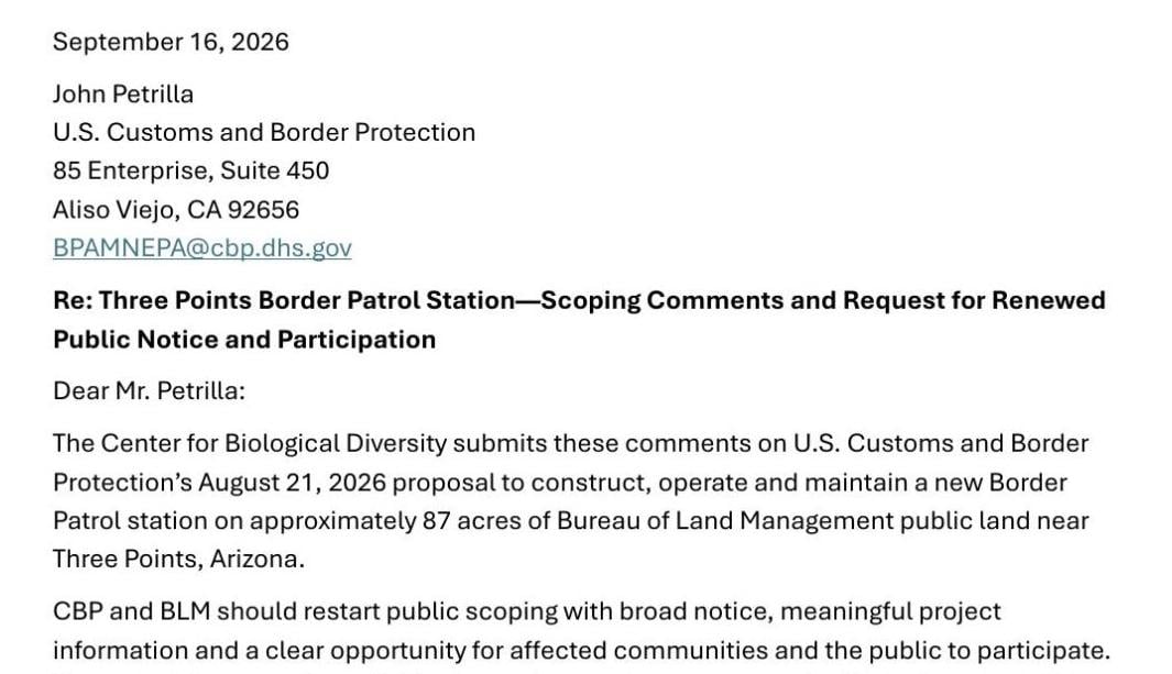 Environmentalist's comments on proposed CBP project