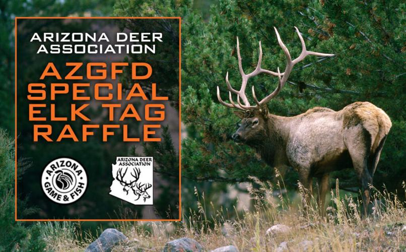 Special elk hunt permit-tag opportunity