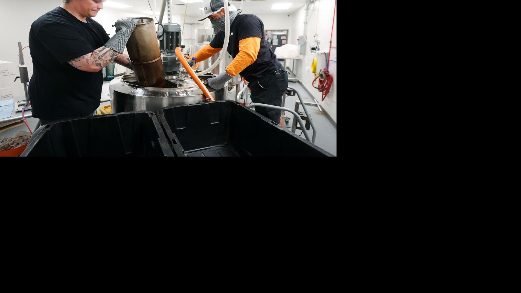 Maya Tea steeps into the mocktail business