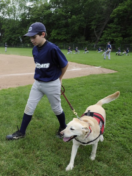 Service dogs trained to sniff for dangerous food allergens   