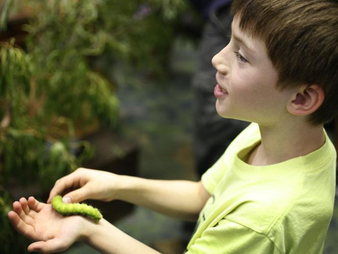 Caterpillar Day 2015