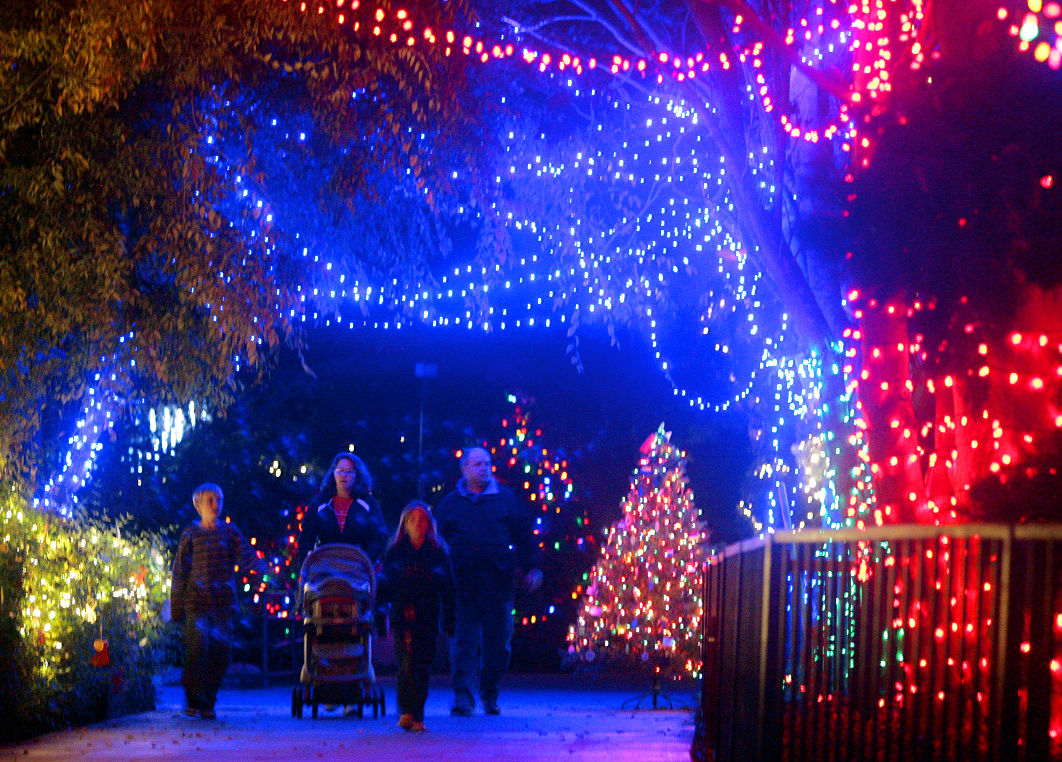 Photos Reid Park's Zoo Lights 2015 Latest News