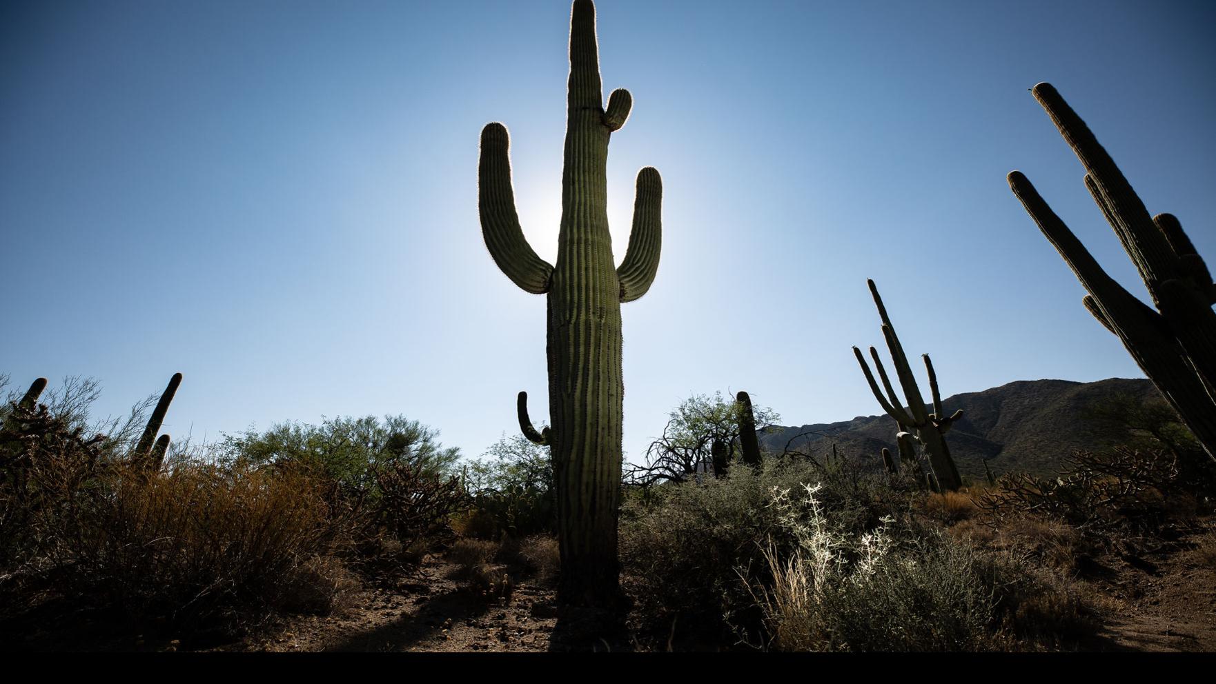 Future Tucson Will Likely Deal With More Days Of Extreme Heat Environment Tucson Com