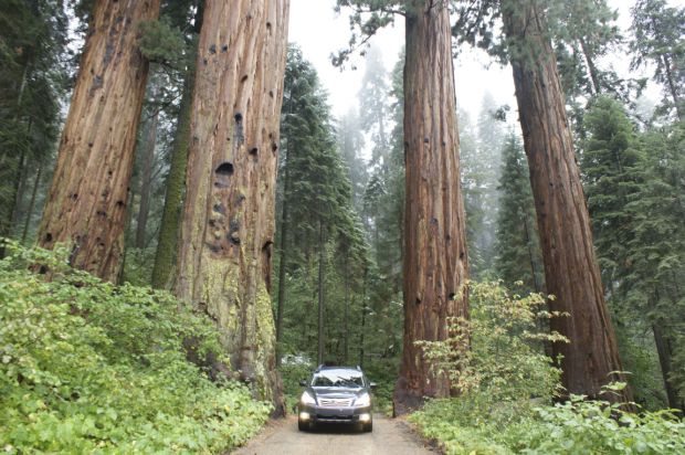 National Park Travel Photo Contest entries
