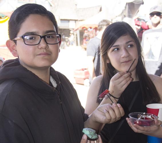 11 LE G SOCIALES P10