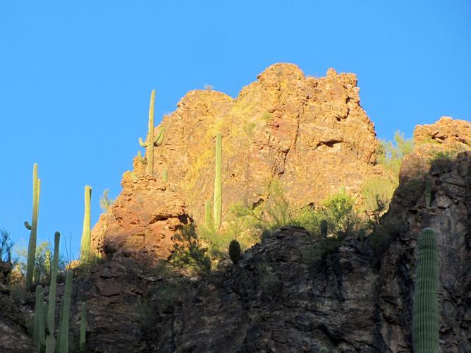 Golden hues at sunset