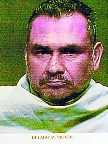 11,000 pounds of pot seized  