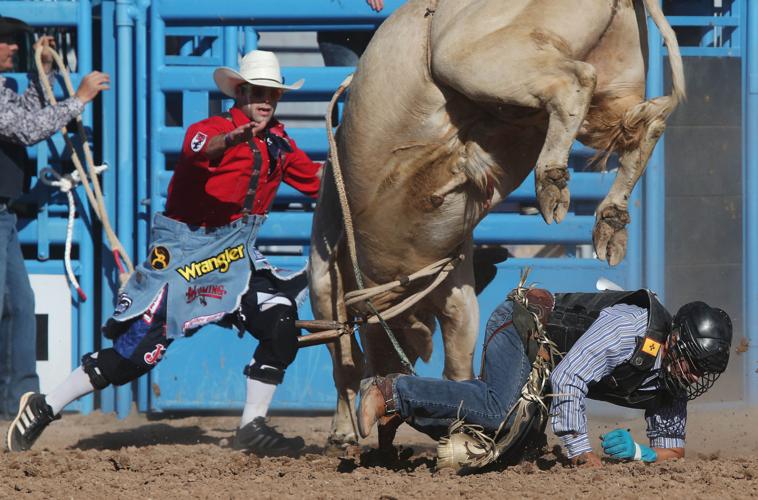 2016 La Fiesta de los Vaqueros