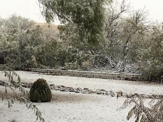 Star reader snow photos
