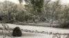 Southern Arizona snow photos from Star readers shared last winter