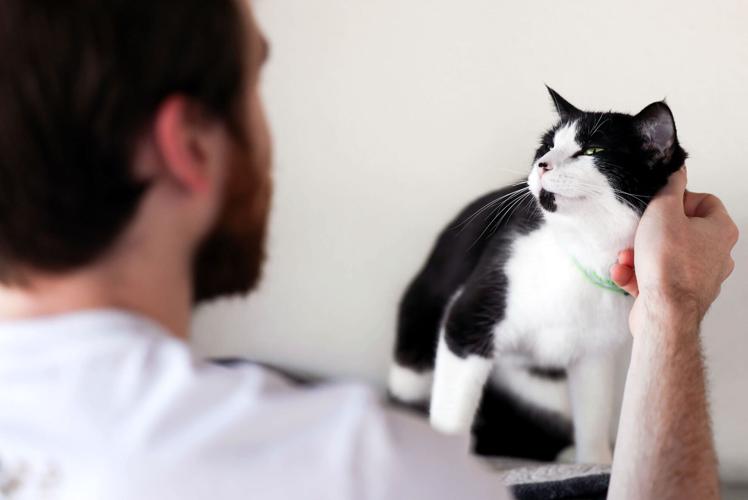 Hunter's Kitten Lounge opens in Tucson | to do | tucson.com