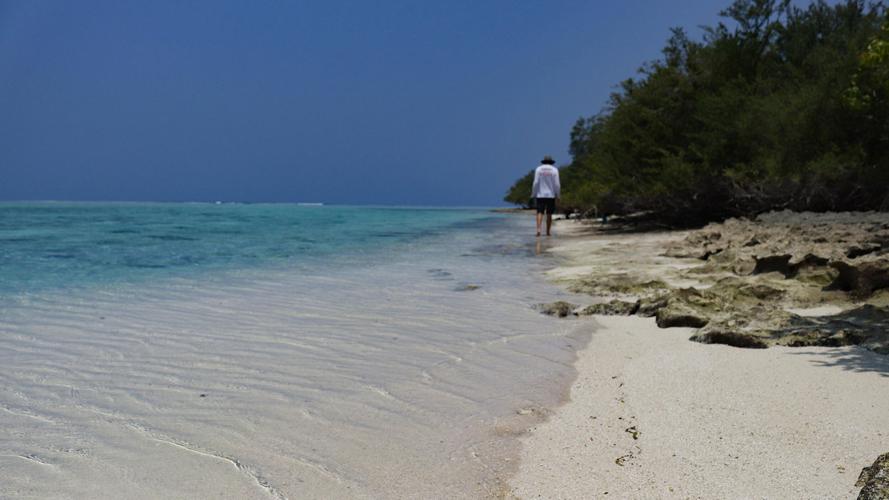 Leslie and Andrew Godfrey