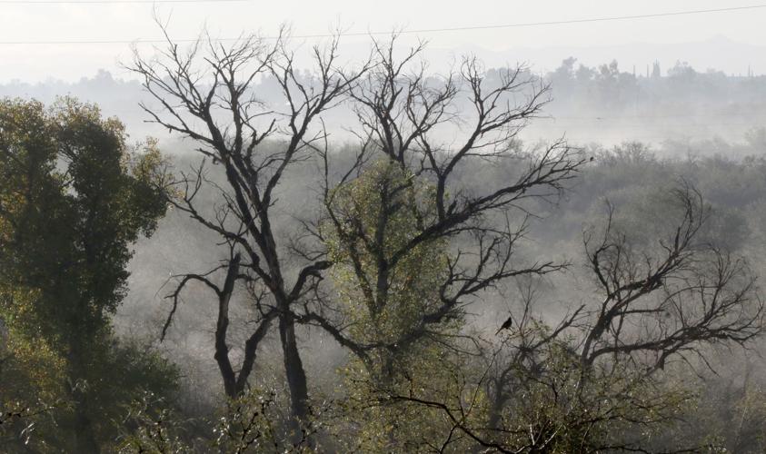 Snow on the Santa Catalina Mountains