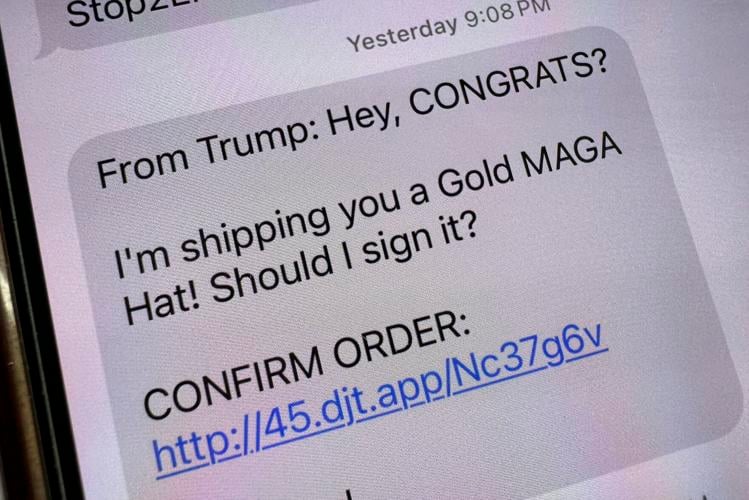 Election 2024 Text Pestering