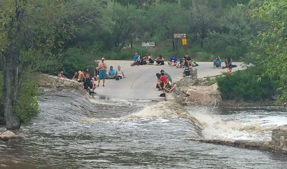 Sabino Canyon rescues