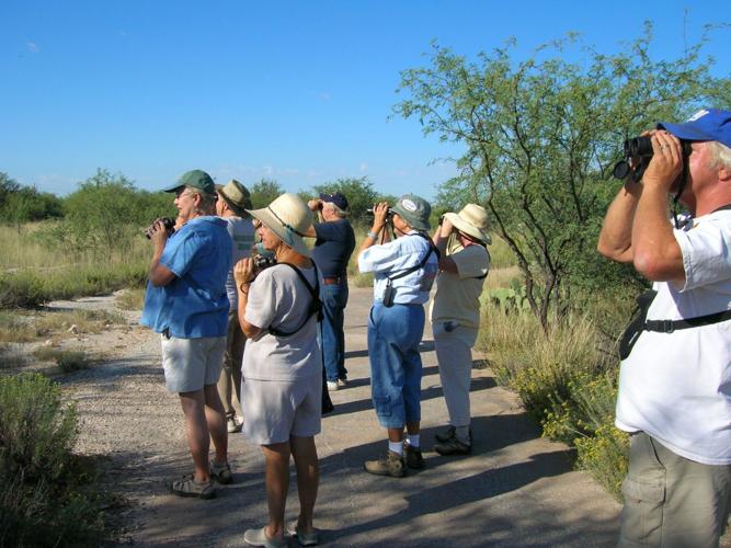 Birding — Historic Canoa Ranch