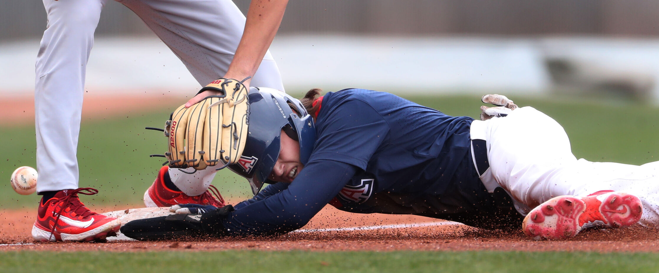 Meet the Team-p1.jpg