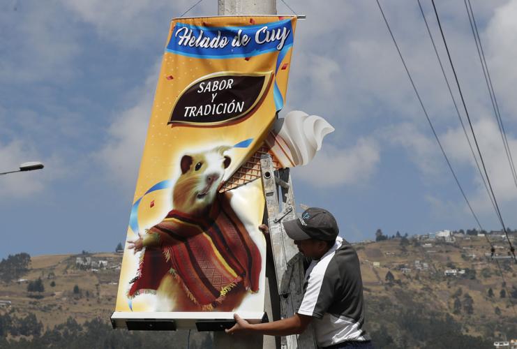 Ecuador Guinea Pig Ice Cream