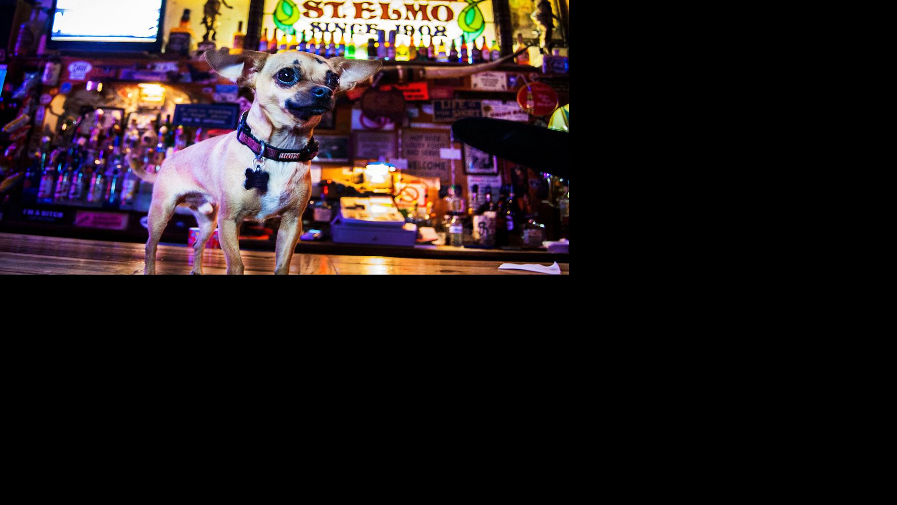 5 best Bisbee bars Grab a homemade Zima and experience the Gay 90s