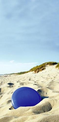 Frisbee at 50  