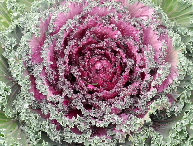 Ring's reflections: Photo skills soar with pro's help    