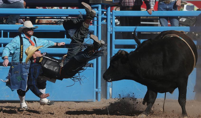 2016 La Fiesta de los Vaqueros