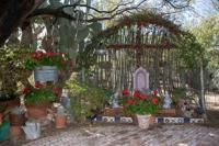 Baron home landscape