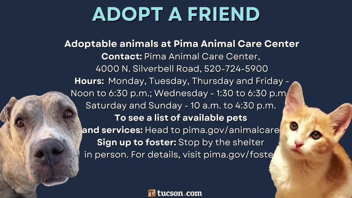 Adopt a friend: Local pets up for adoption for June 28