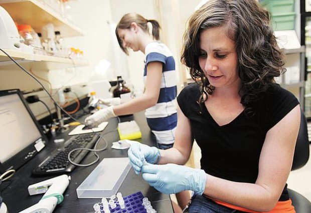 UA study takes aim at poaching in Africa  