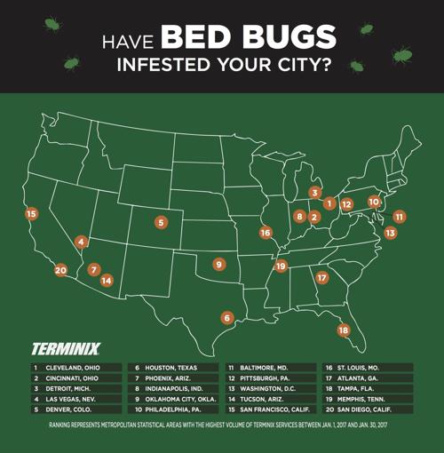 Where the bedbugs bite most