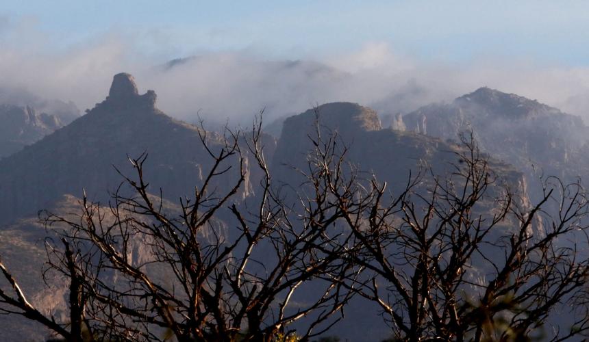 Snow on the Santa Catalina Mountains