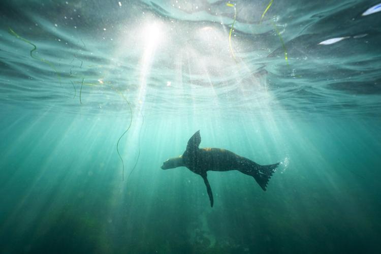 YE Top Photos North America 2023