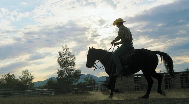 Wild horses can't keep him away (with video)  