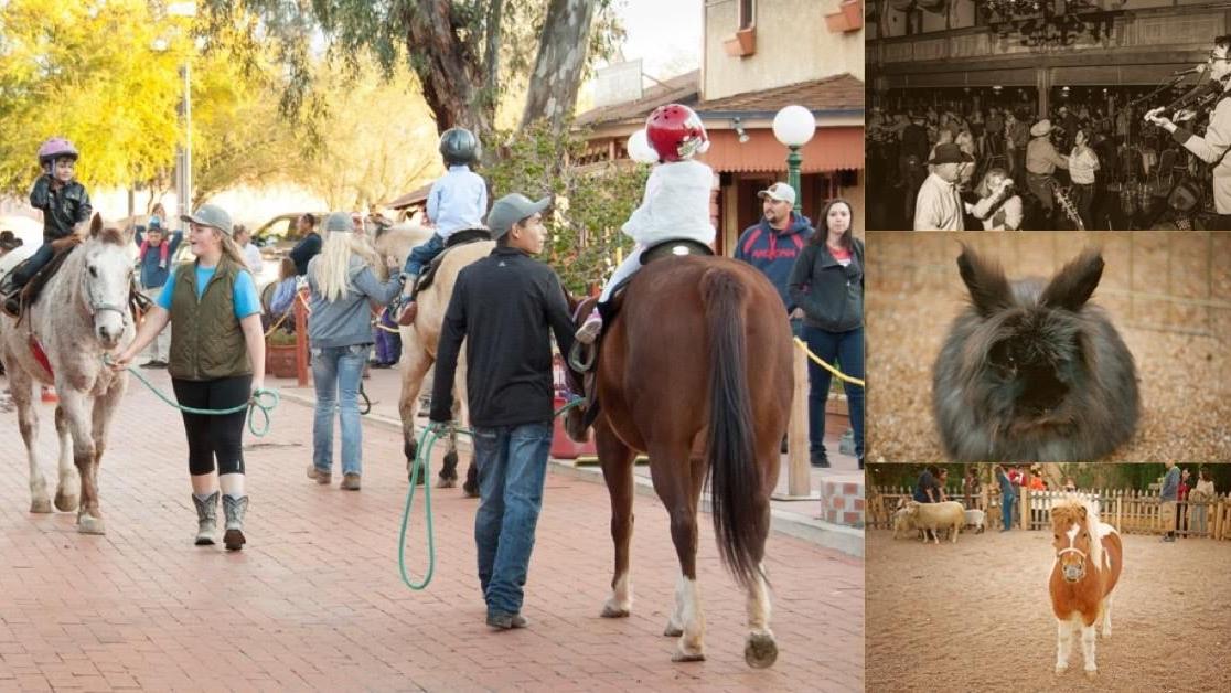 Rodeo break camp, wilderness camp and bilingual babytime Rodeo break camp, wilderness camp and bilingual babytime