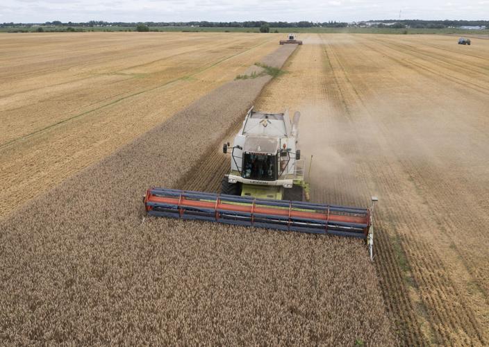 Russia Ukraine War Grain Deal