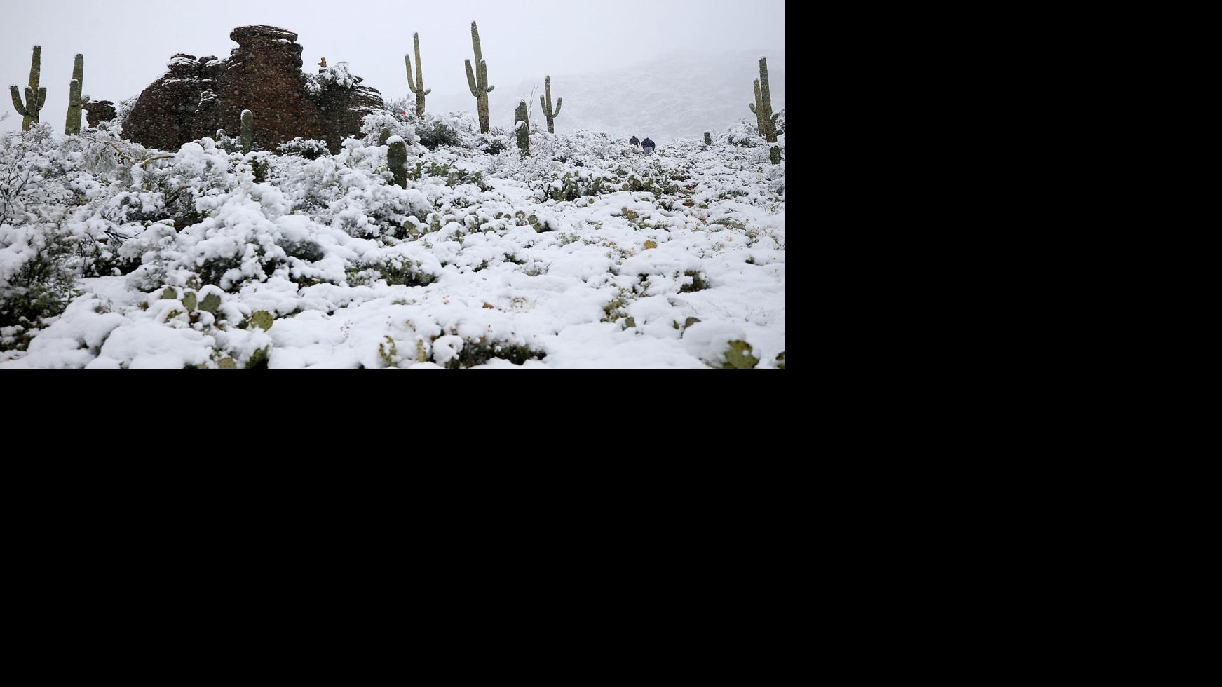 It snowed on Mount Lemmon today! 75 photos of snowfall in the Tucson