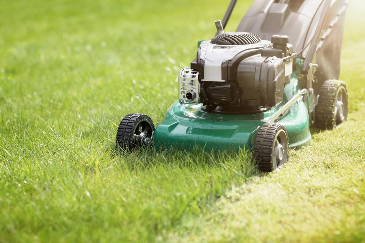 Gas or Electric Lawn Mower: Are Electric Mowers Worth It?