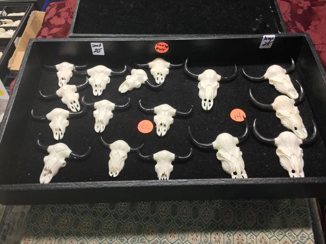 Seven women, 45 minutes and less than $150 at the Gem Show