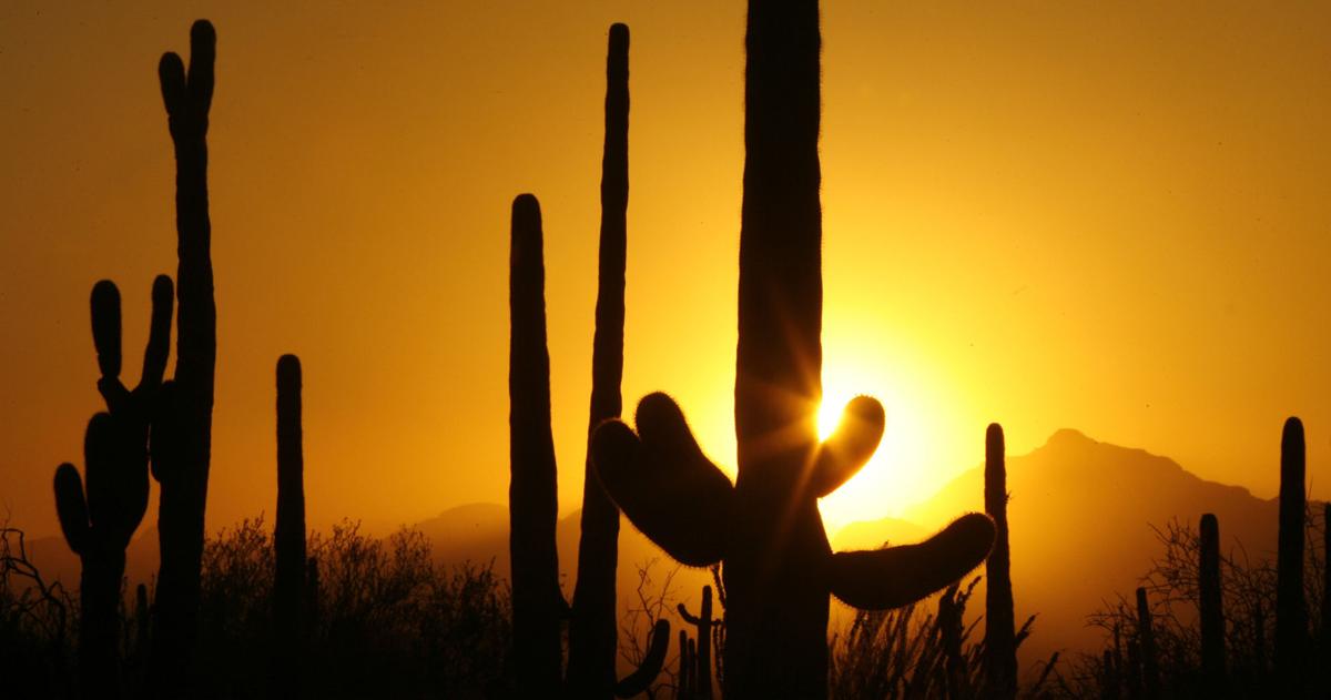 Saguaro National Park