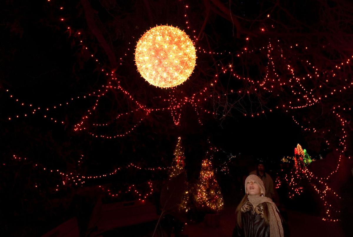 Photos Reid Park's Zoo Lights 2015 Latest News