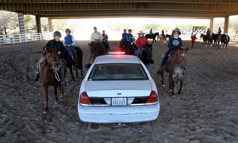 Desensitizing horses