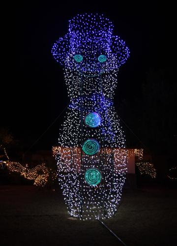 65th Annual Winterhaven Festival of Lights