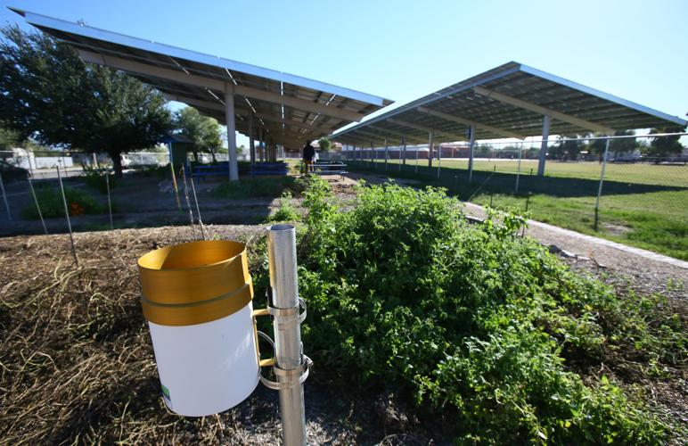 Agrivotaics at Manzo