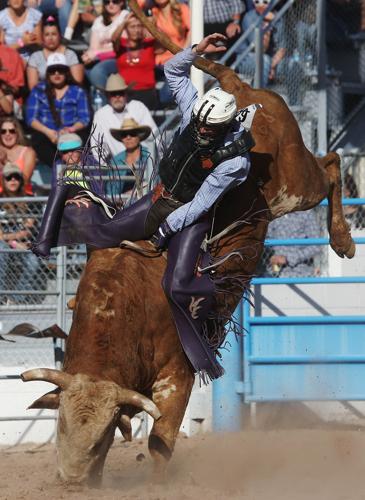 2016 La Fiesta de los Vaqueros