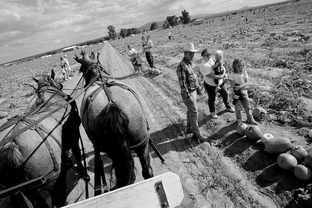 Buckelew land will benefit wildlife  
