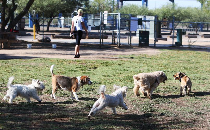 Brandi Fenton Memorial Park dog park