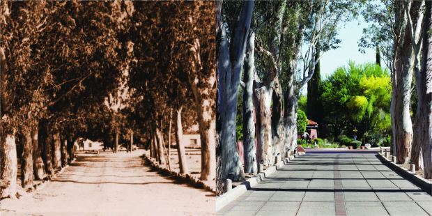 Street Smarts: Canyon Ranch Drive