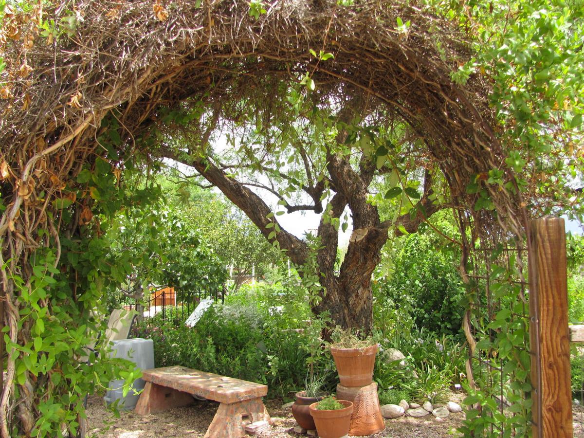Arch and bench (copy)