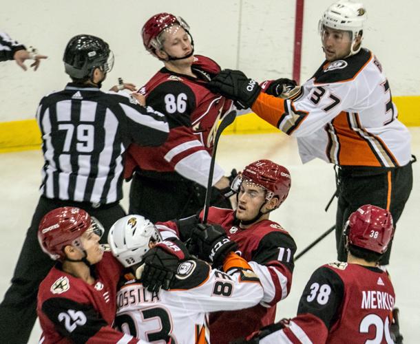 Coyotes vs Ducks Hockey