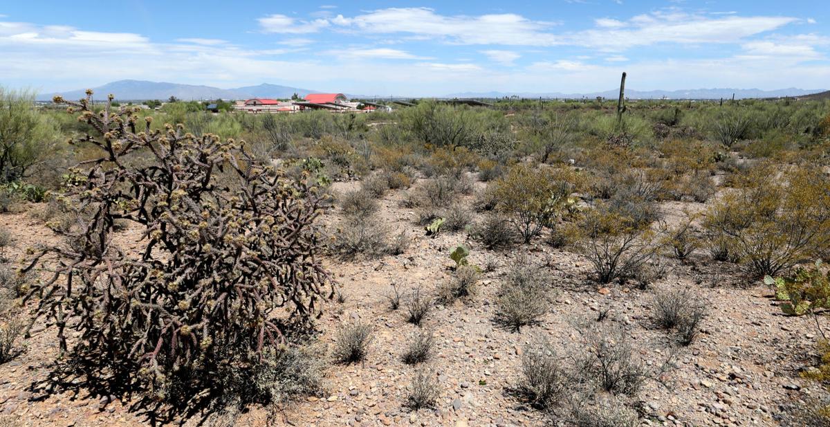 Santa Cruz development